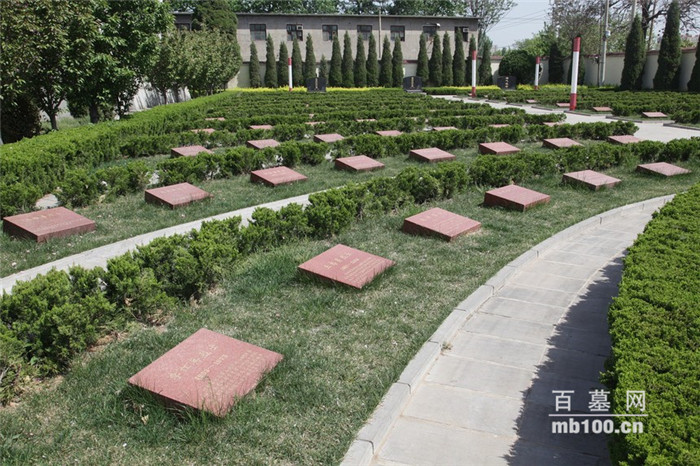 为什么要大力发展农村公墓？