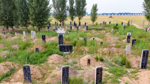 2026年农村公墓新政策解读